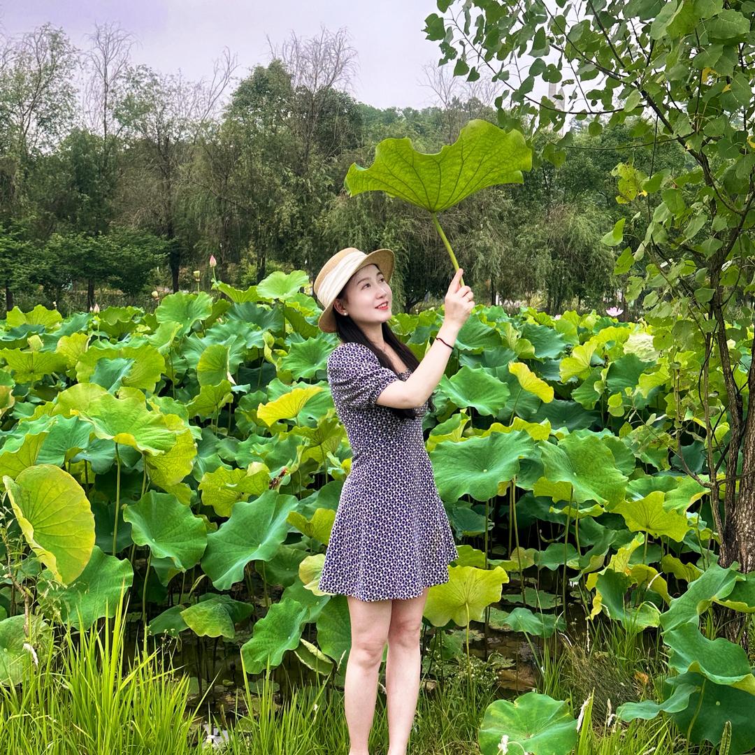 @茉宝
