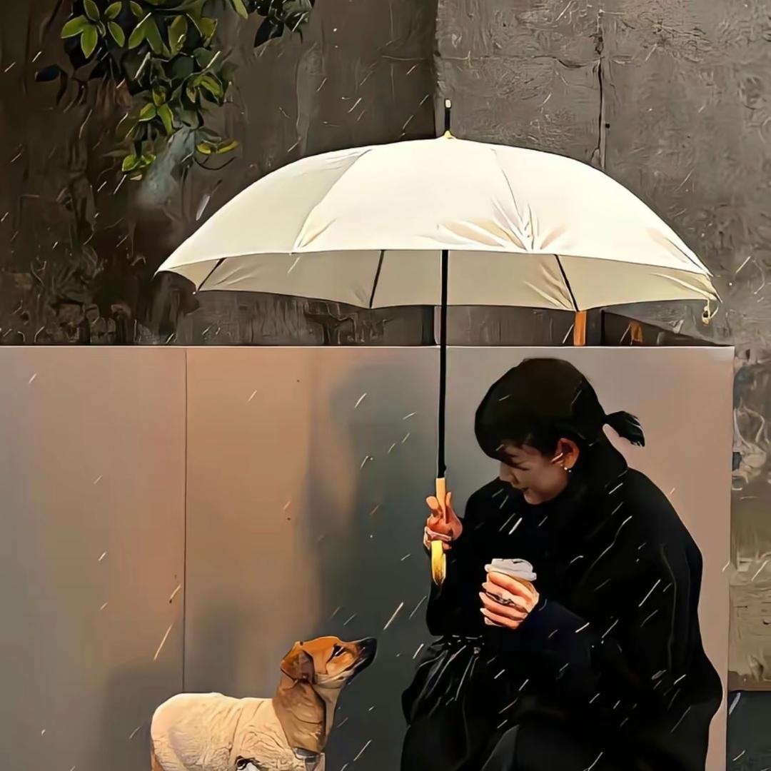 灬东