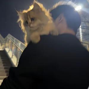 榴莲大王