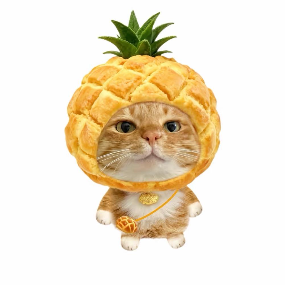 他们都叫我非主流