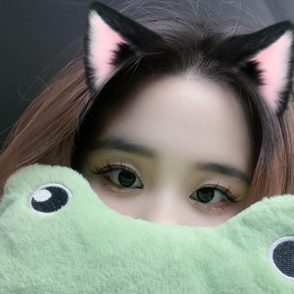 狸猫🦝