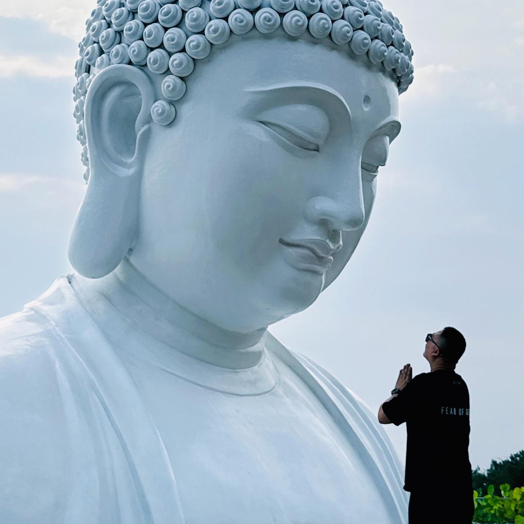 白白白白白丨