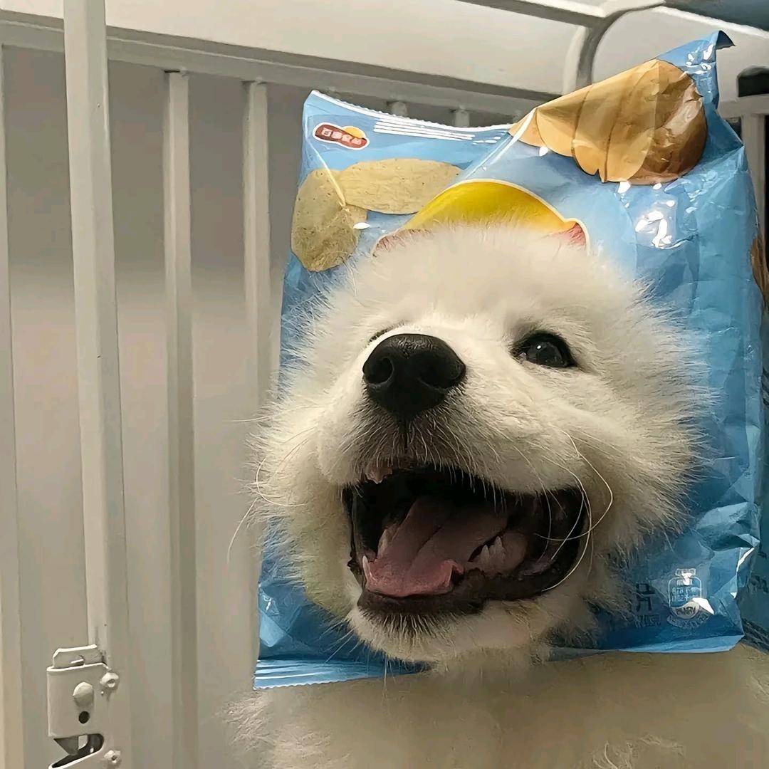 江南☄️