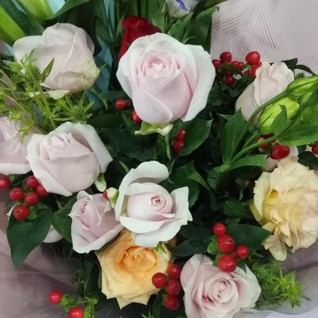 美丽的笨女人。