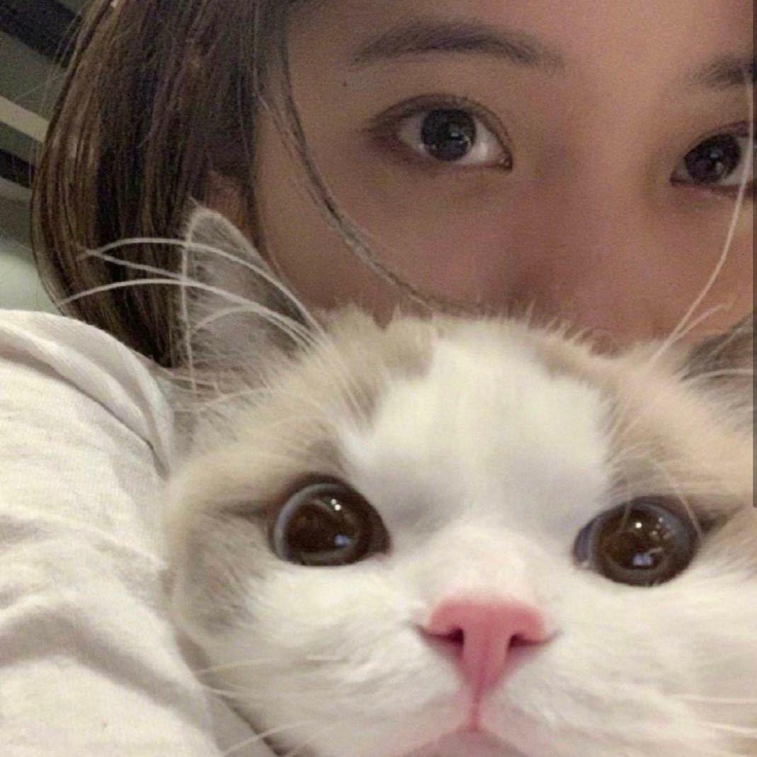 一个假的小可爱