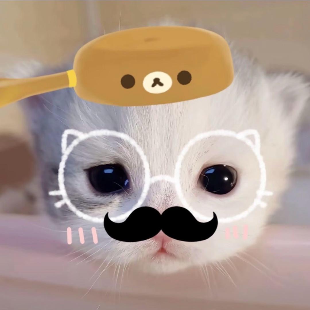 怪我好笨