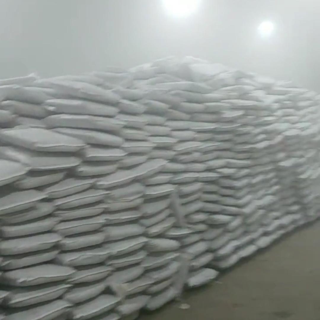 潘小琪蚯蚓饵料