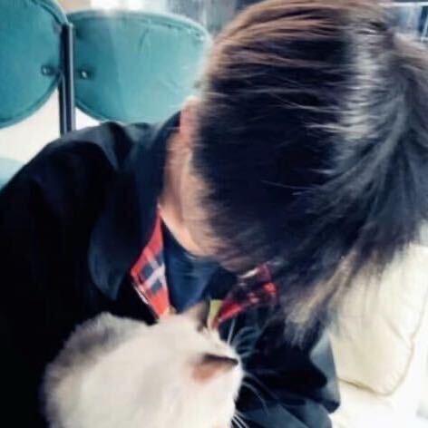 不吃香菜的高启盛.
