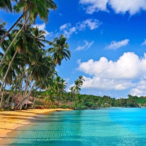 萝北县凤翔镇三佳家用电器商店