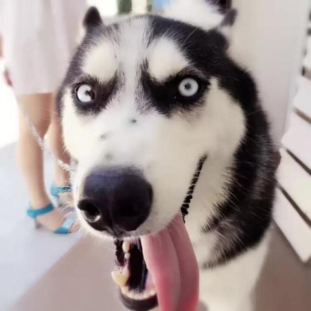 强连通计算机考研