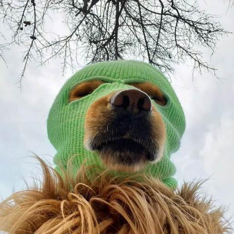 对酒当歌，人生几何