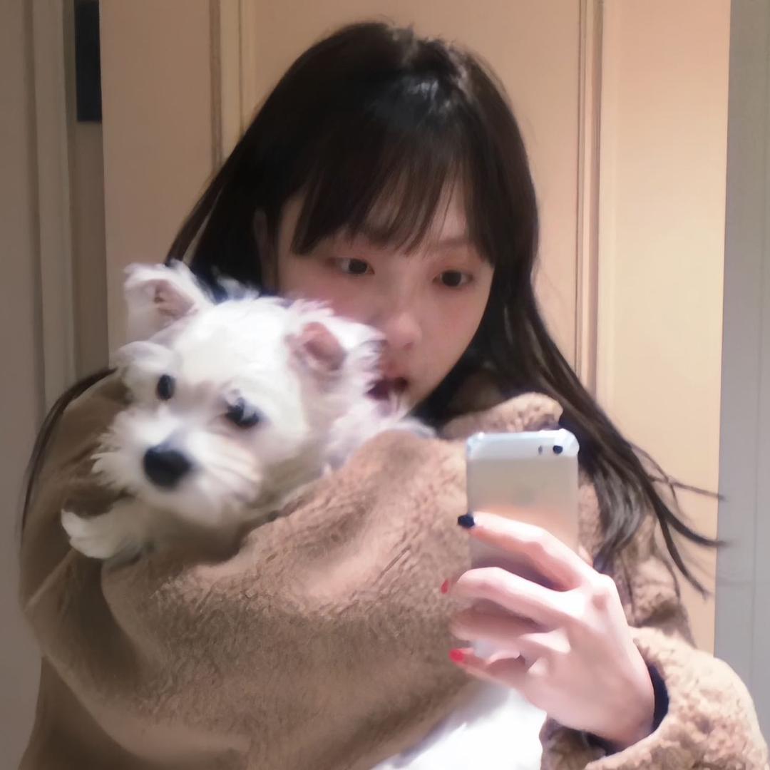 王美美
