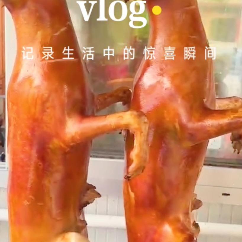 蓝哥狗肉羊肉火锅店