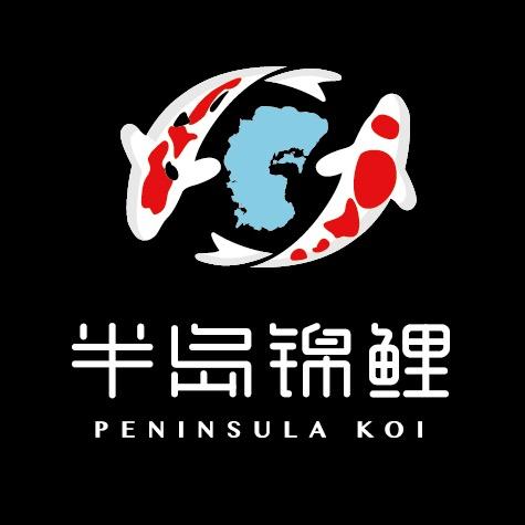 半岛锦鲤