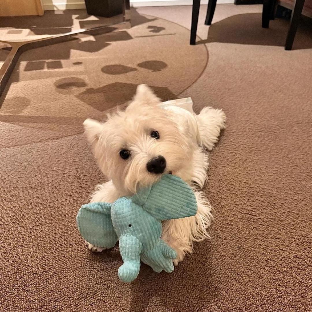 宝宝ㅤㅤㅤㅤㅤㅤ