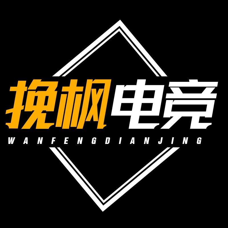 挽枫电竞（金铲铲之战）