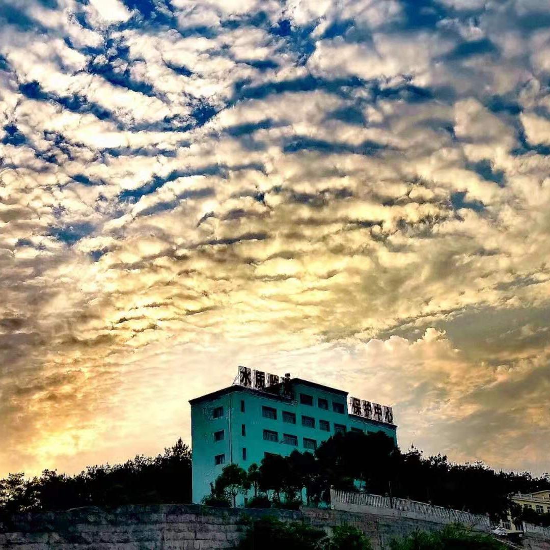 丹江唐老鸭