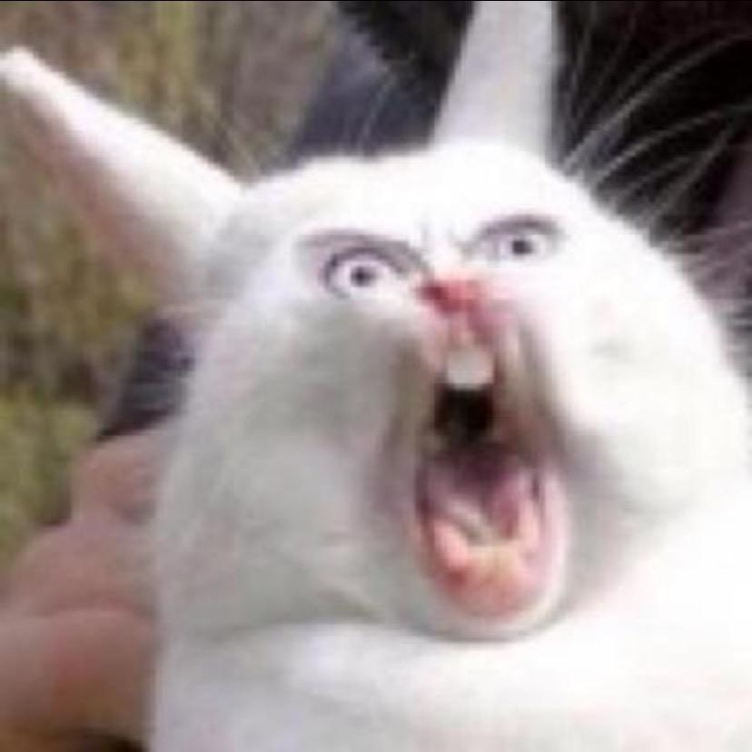 小小布鲁斯李，真真可笑