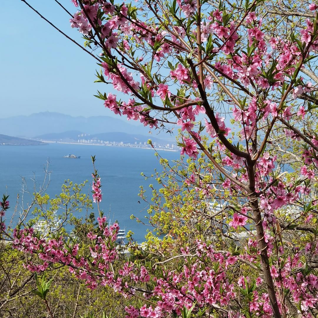 陪月亮熬夜🤷‍♀️🤷‍♀️