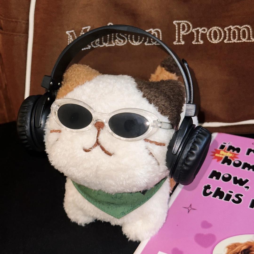 不许扔掉小熊猫