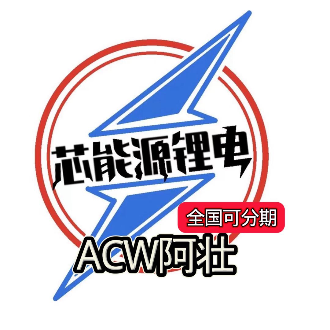 ACW芯能源锂电阿壮