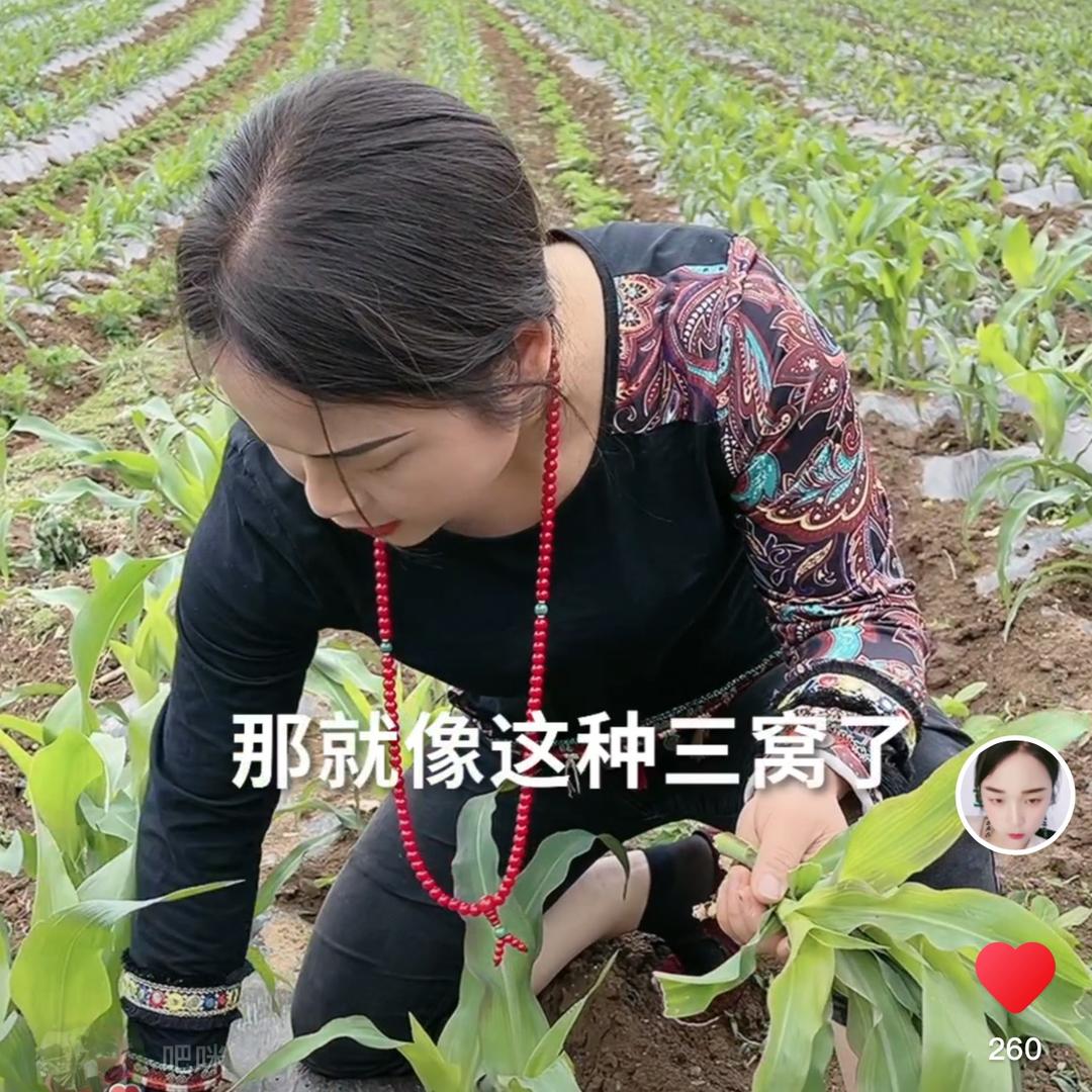 卓尔