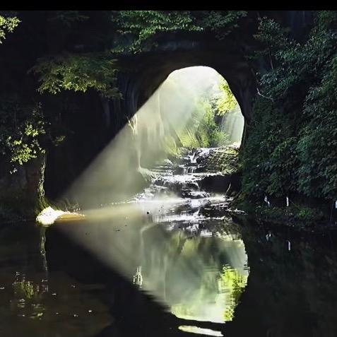 ヾ    '  予与遇 '  🌱