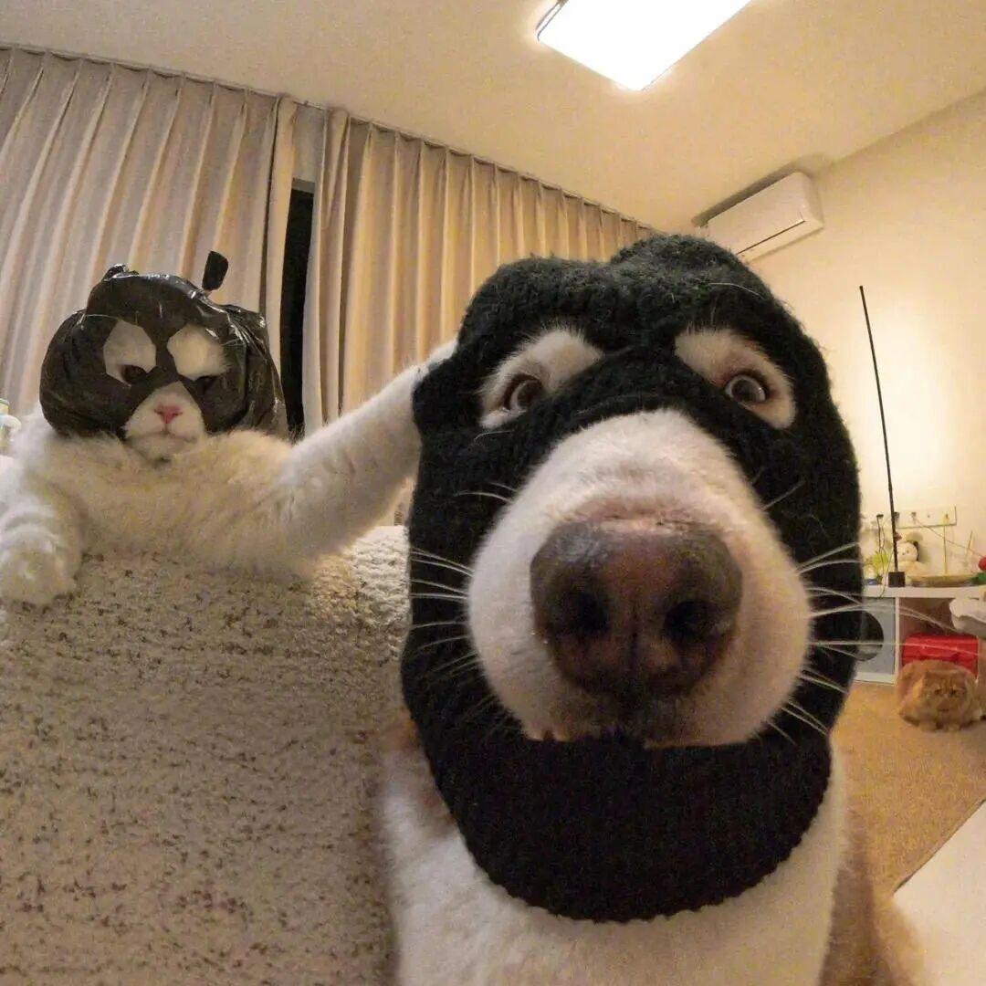 UAU