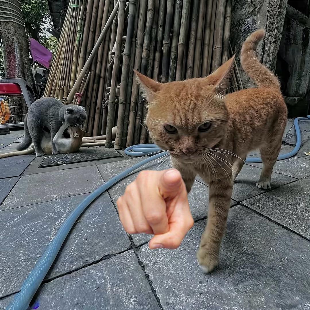 木语