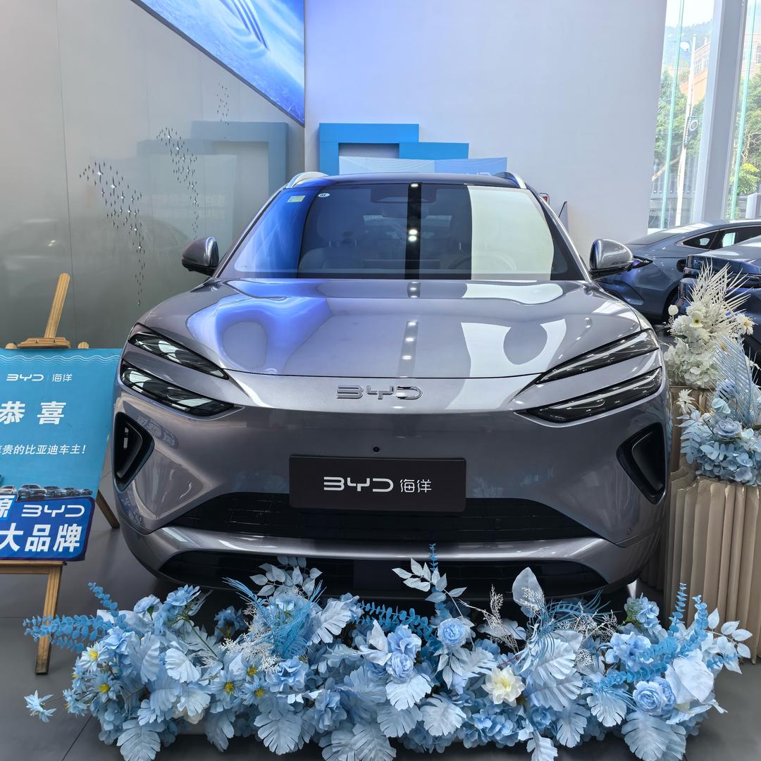 开海狮06的小张同学