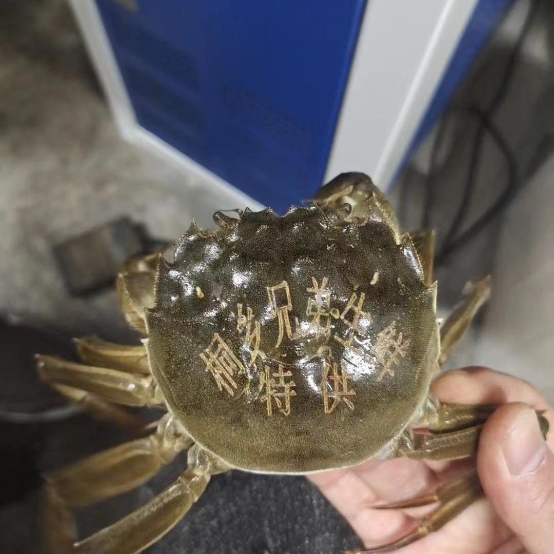桐乡兄弟水产