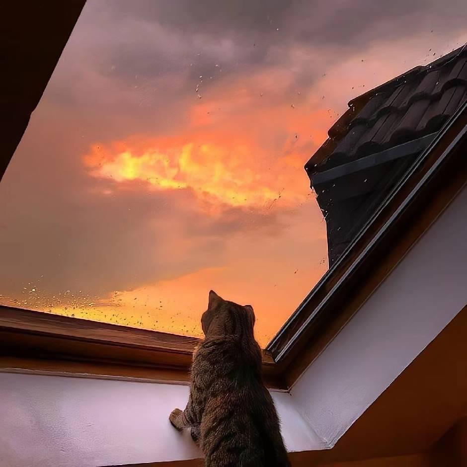 烟花下