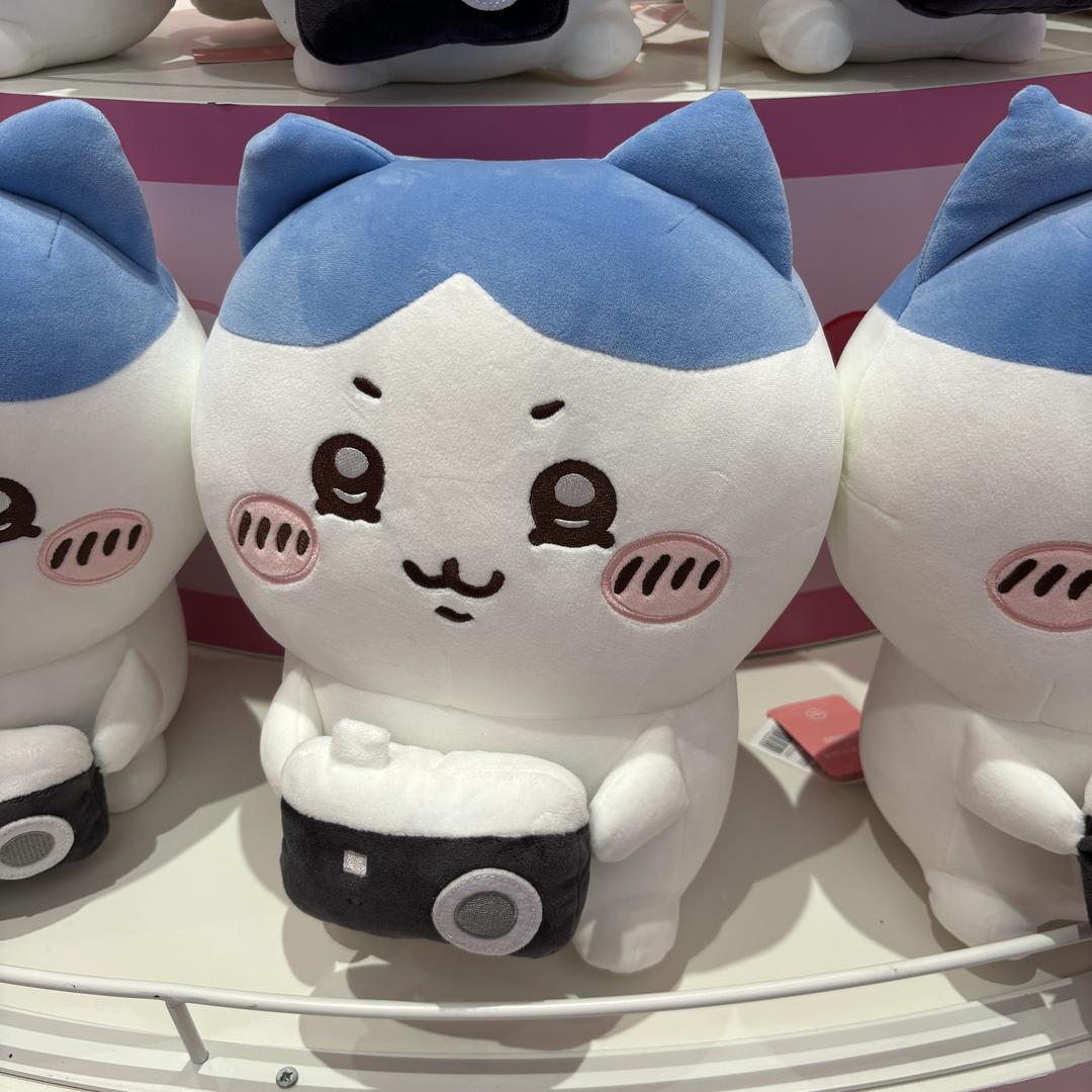美团骑手小美美