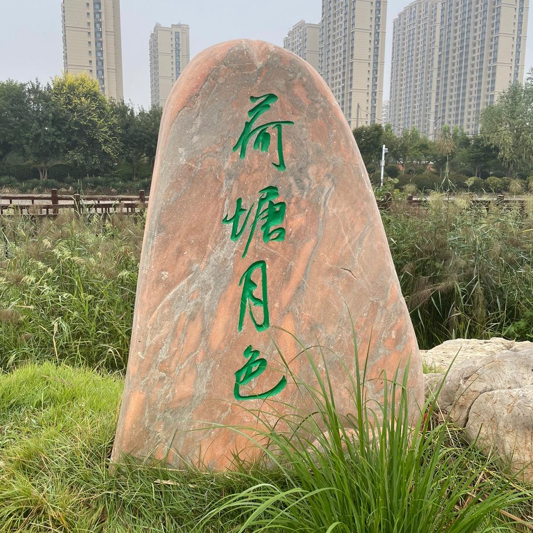 荷塘月色