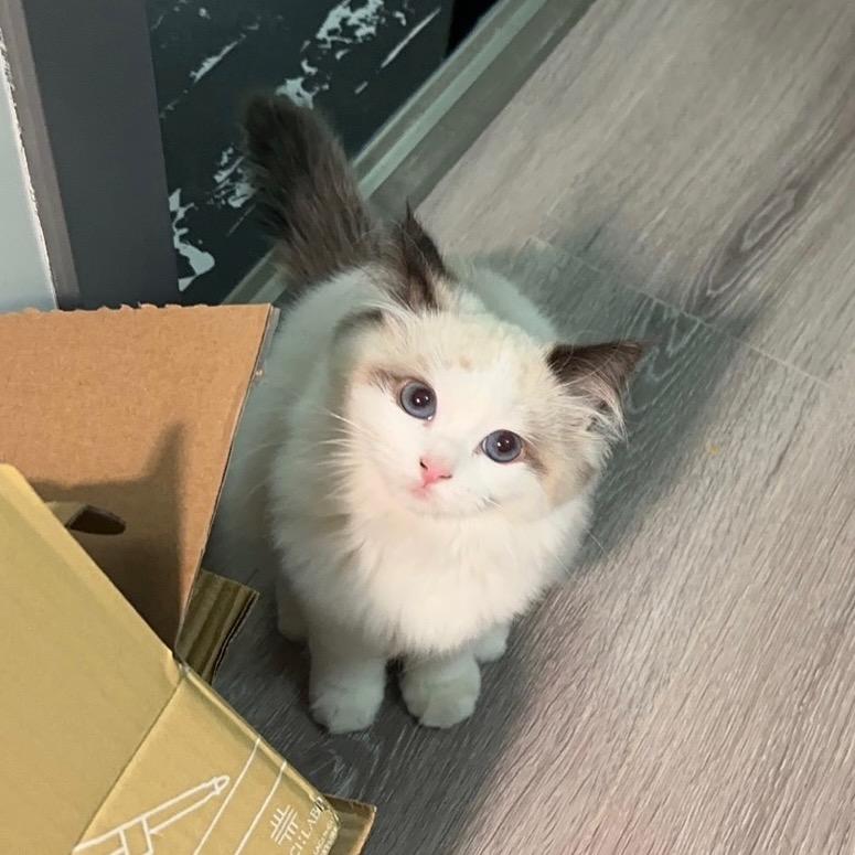 下班不想加班ovo