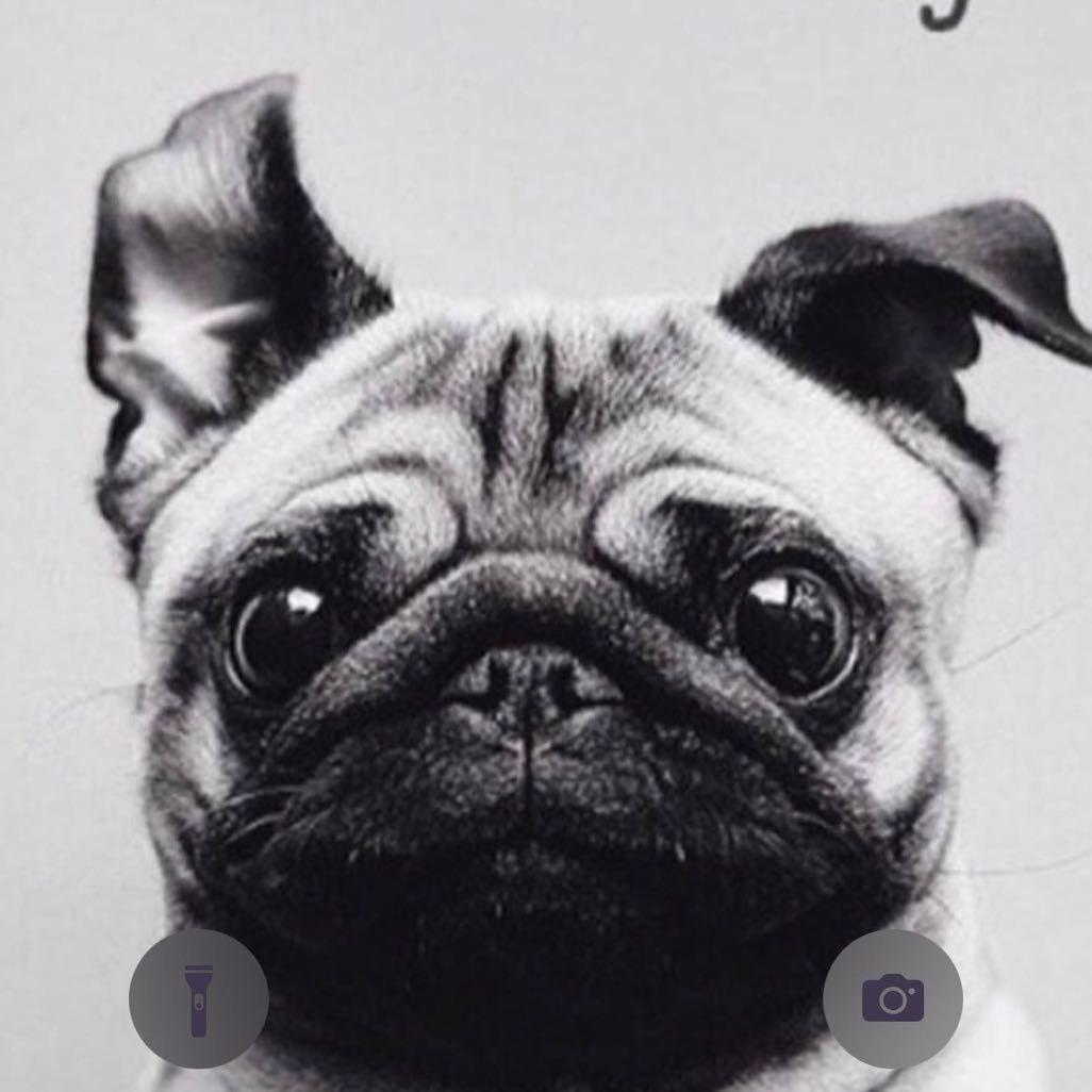 效果图爆炸了💥