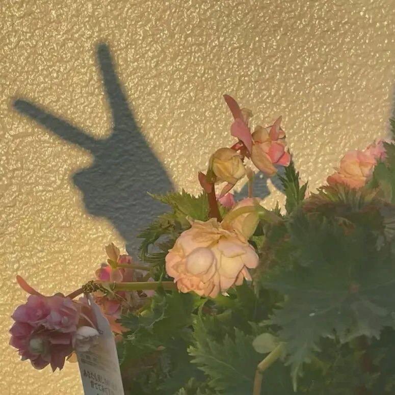 小小的花