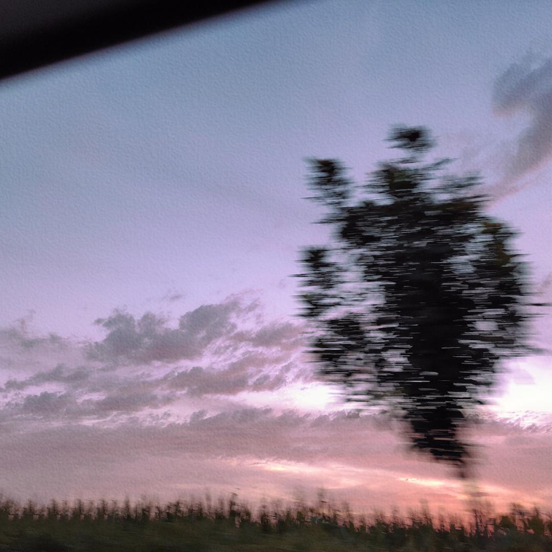 杨芹芹的王瘦瘦