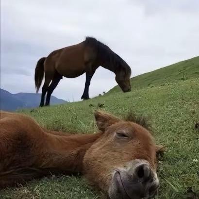 酸萝卜别吃