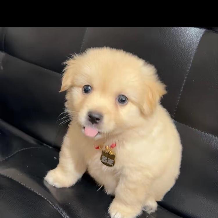 襄阳高新技术开发区岿撒百货店(个体工商户)