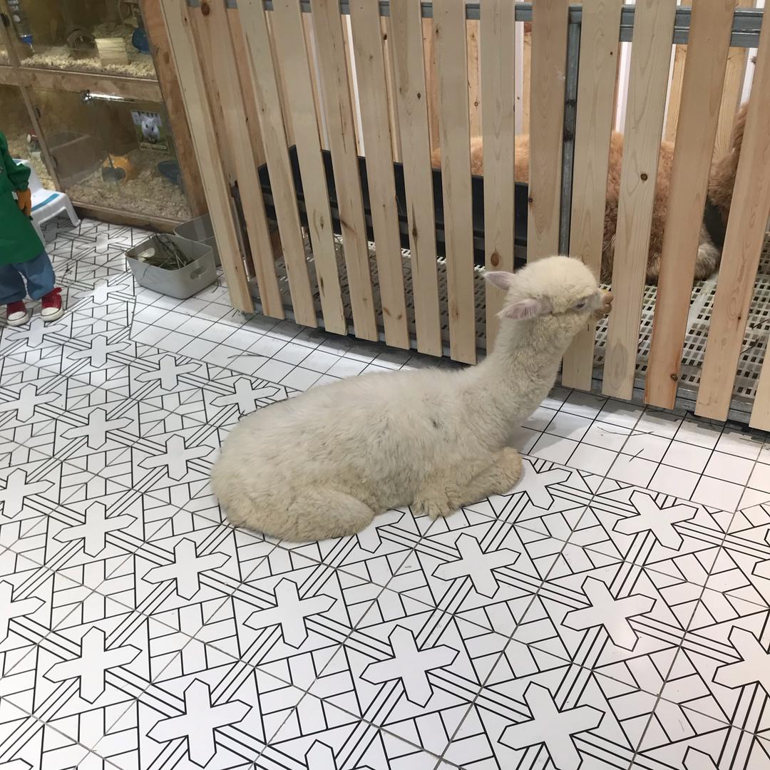 马小众的窝🏠