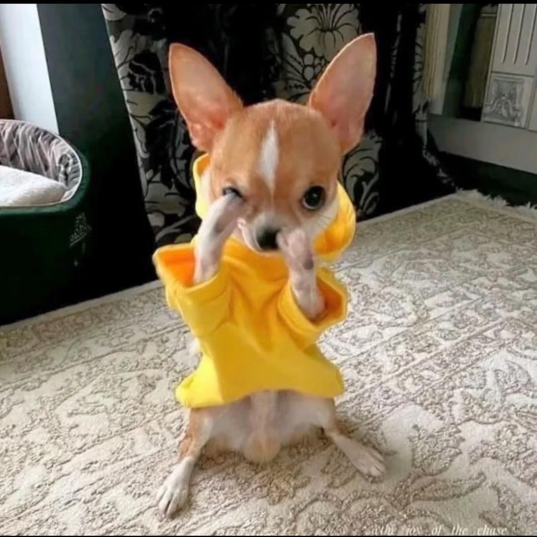 🫥🫥🫥