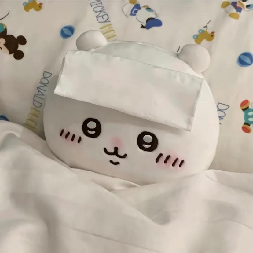 羊村一只琪