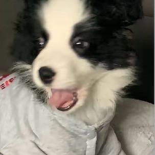 …