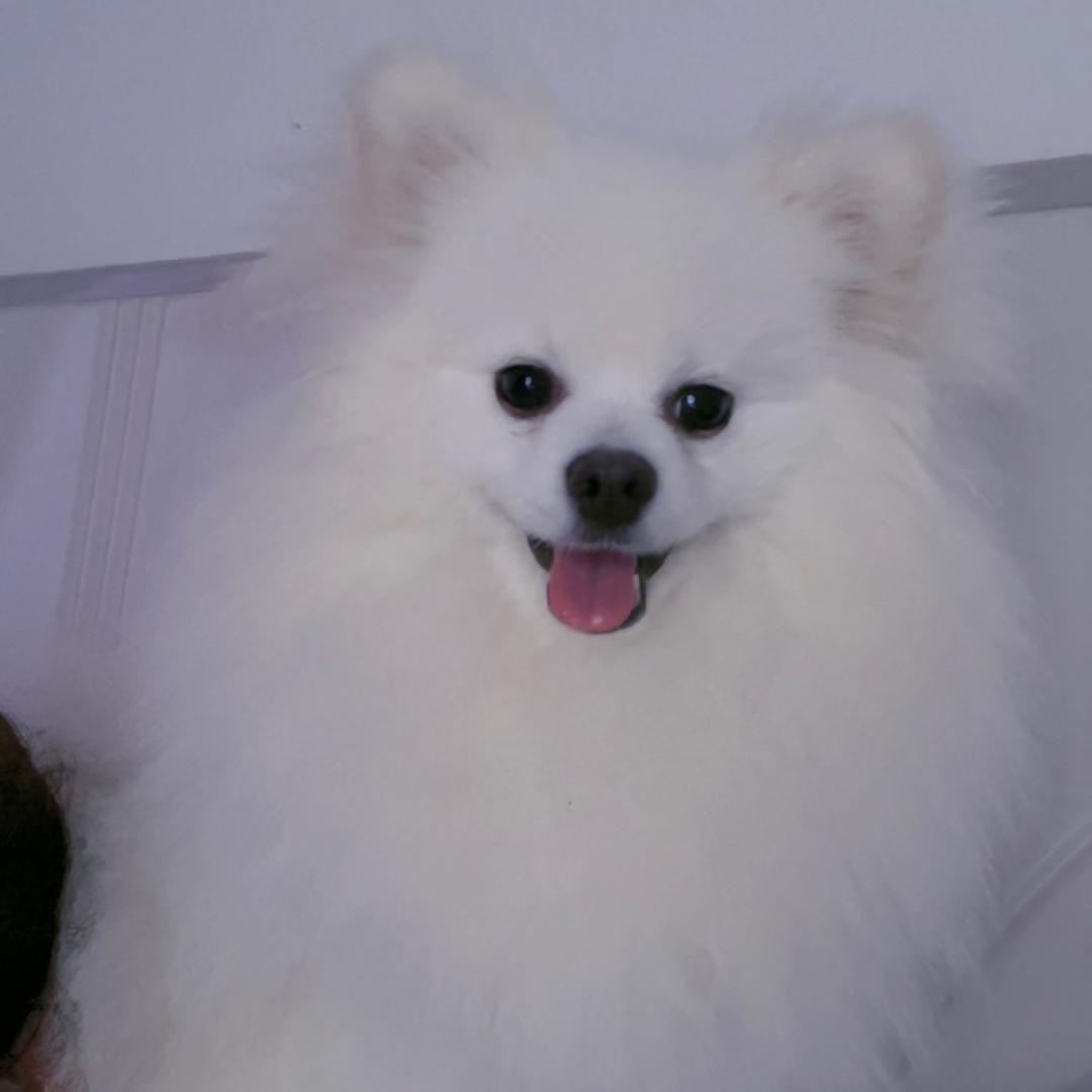 杨哆咪