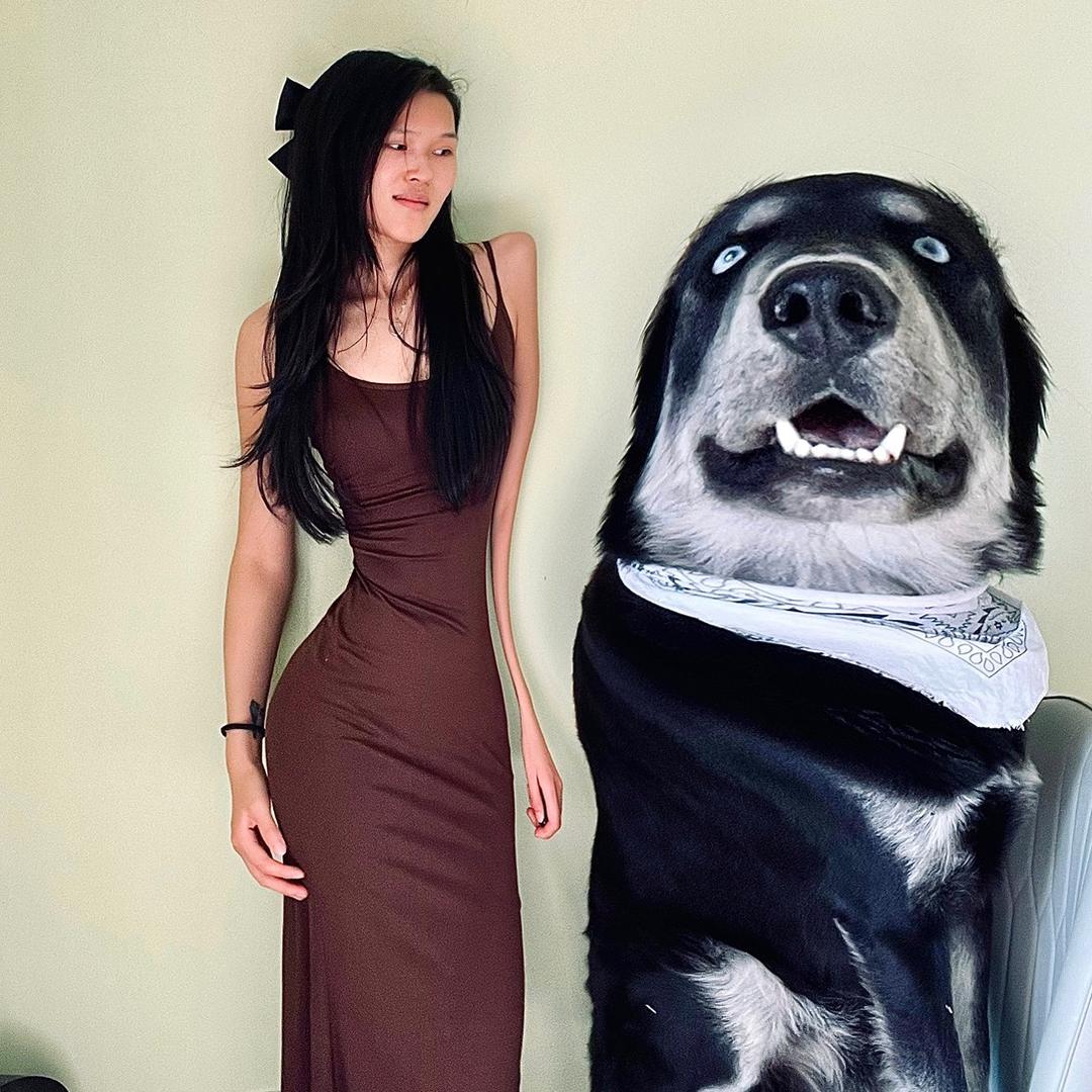 三毛与狗