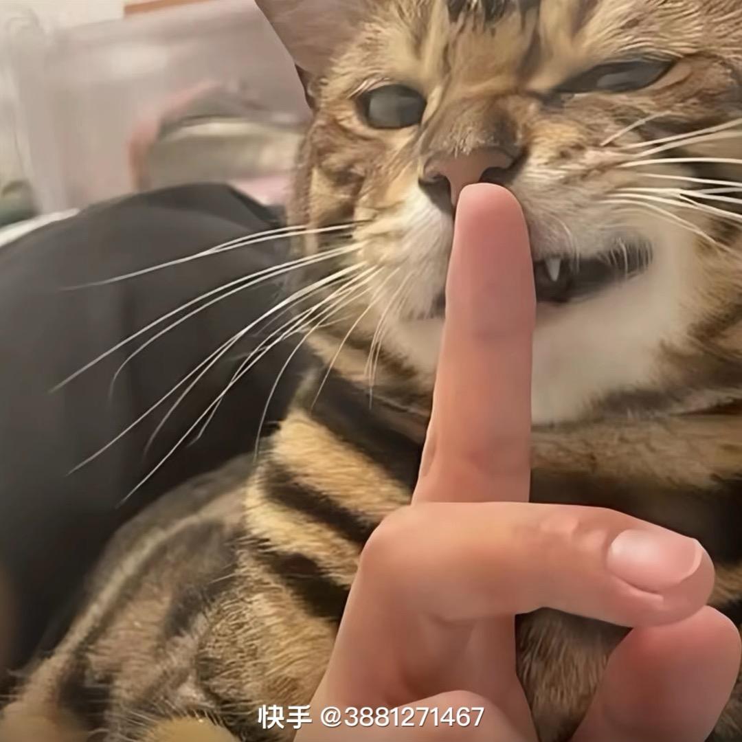 迟遇.🍀