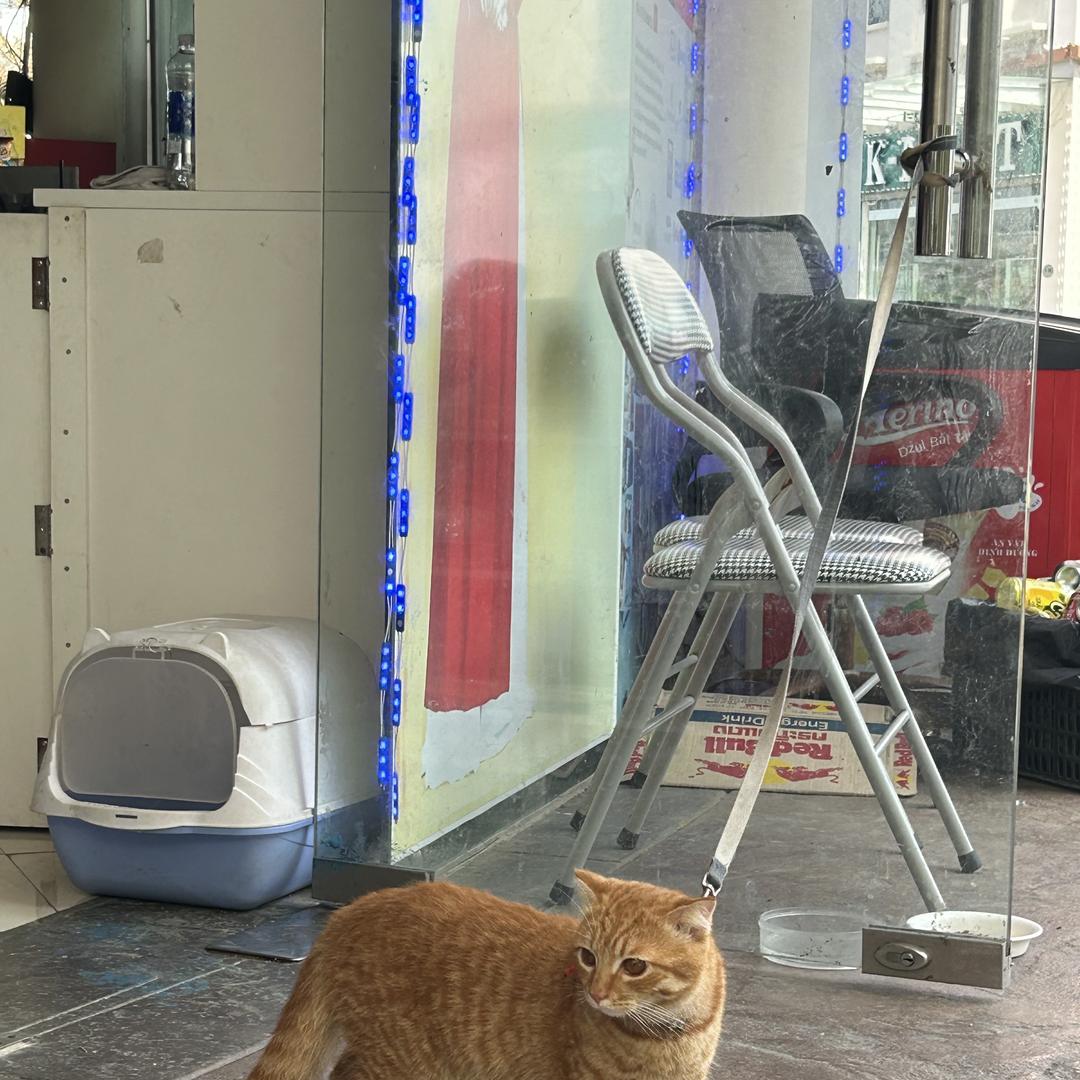 枝江市苏蕉商贸严选店