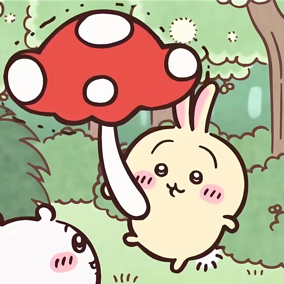 老实人甄选馆