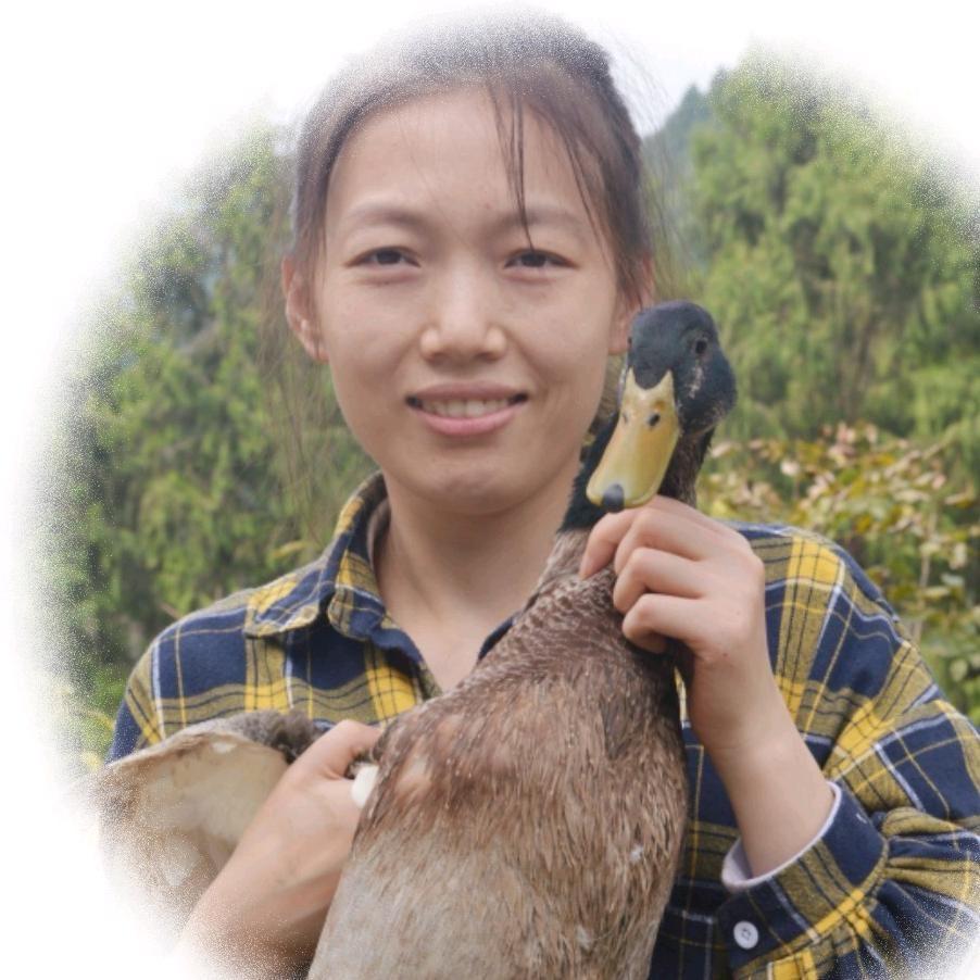 小顾农家搬运工